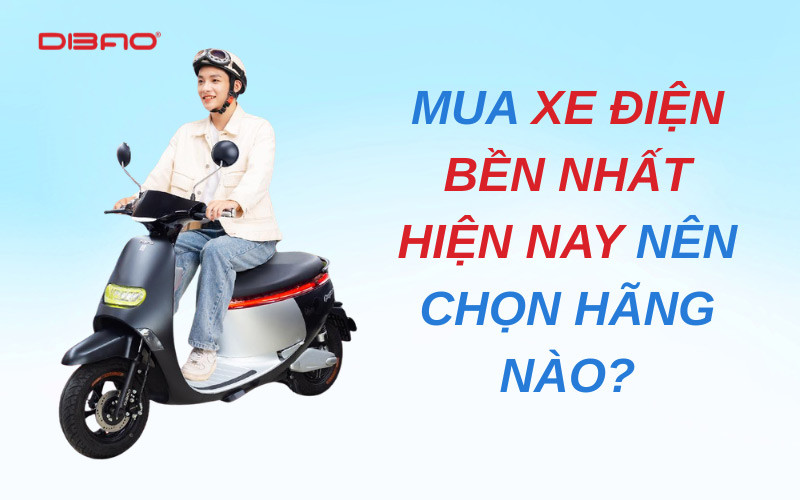 Mua xe điện bền nhất hiện nay nên chọn hãng nào?
